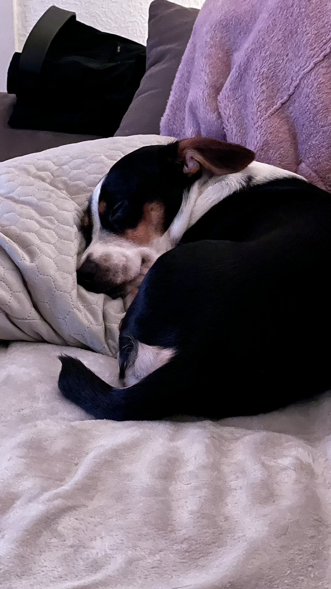 𝚜𝚖𝚒𝚛𝚔𝚘𝚗𝚎 (@smirkone) on Twitter photo 