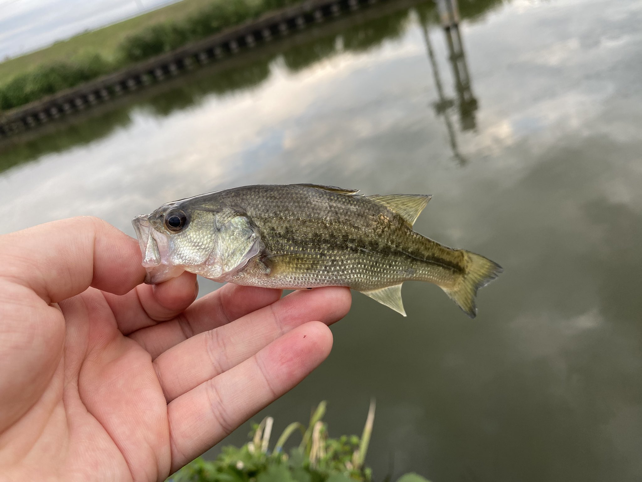 TAK🎣 on X: 
