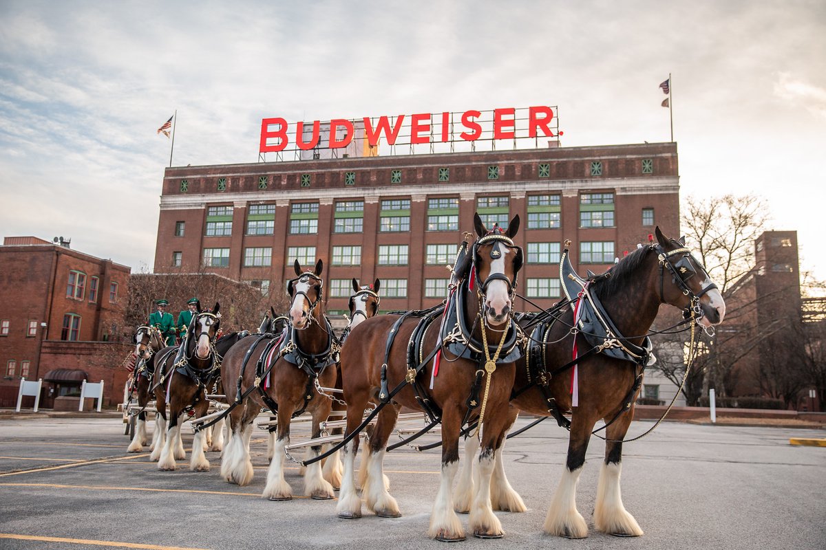 HomeOfBud's tweet image. Brb, making this our wallpaper.
