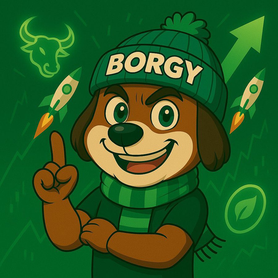 ZyraVerseX's tweet image. Entry again  
Let’s move $BORGY to a new ath 
#BorgyArmy #borgy 

@jayidrops check borgy out