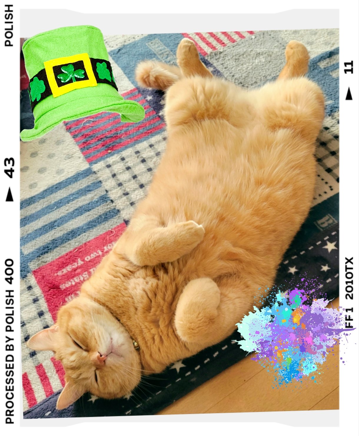 大門🐱👈️平日昼間は低浮上ッス😲 (@7hacchan7) / X