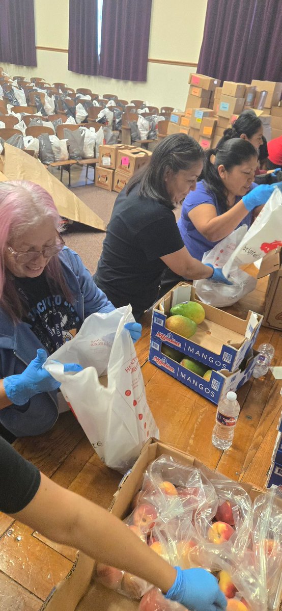 SanJacintoJets's tweet image. Brighter Bites delivery to our community was a success today! Thank you to all our volunteers who made this possible 💜! 
@Region1DISD 
@RubyGarzaDISD
