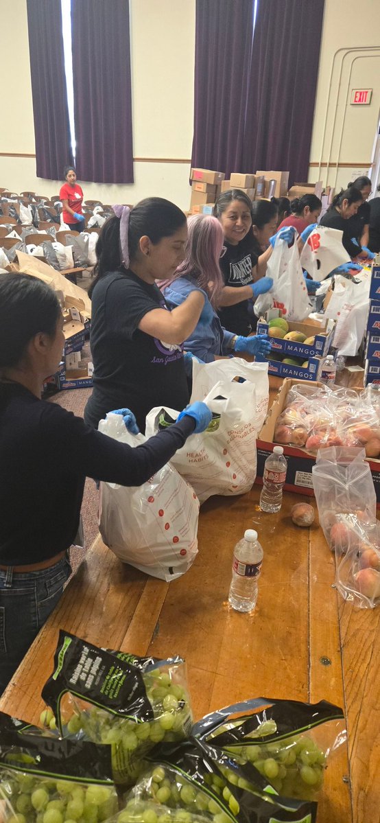 SanJacintoJets's tweet image. Brighter Bites delivery to our community was a success today! Thank you to all our volunteers who made this possible 💜! 
@Region1DISD 
@RubyGarzaDISD