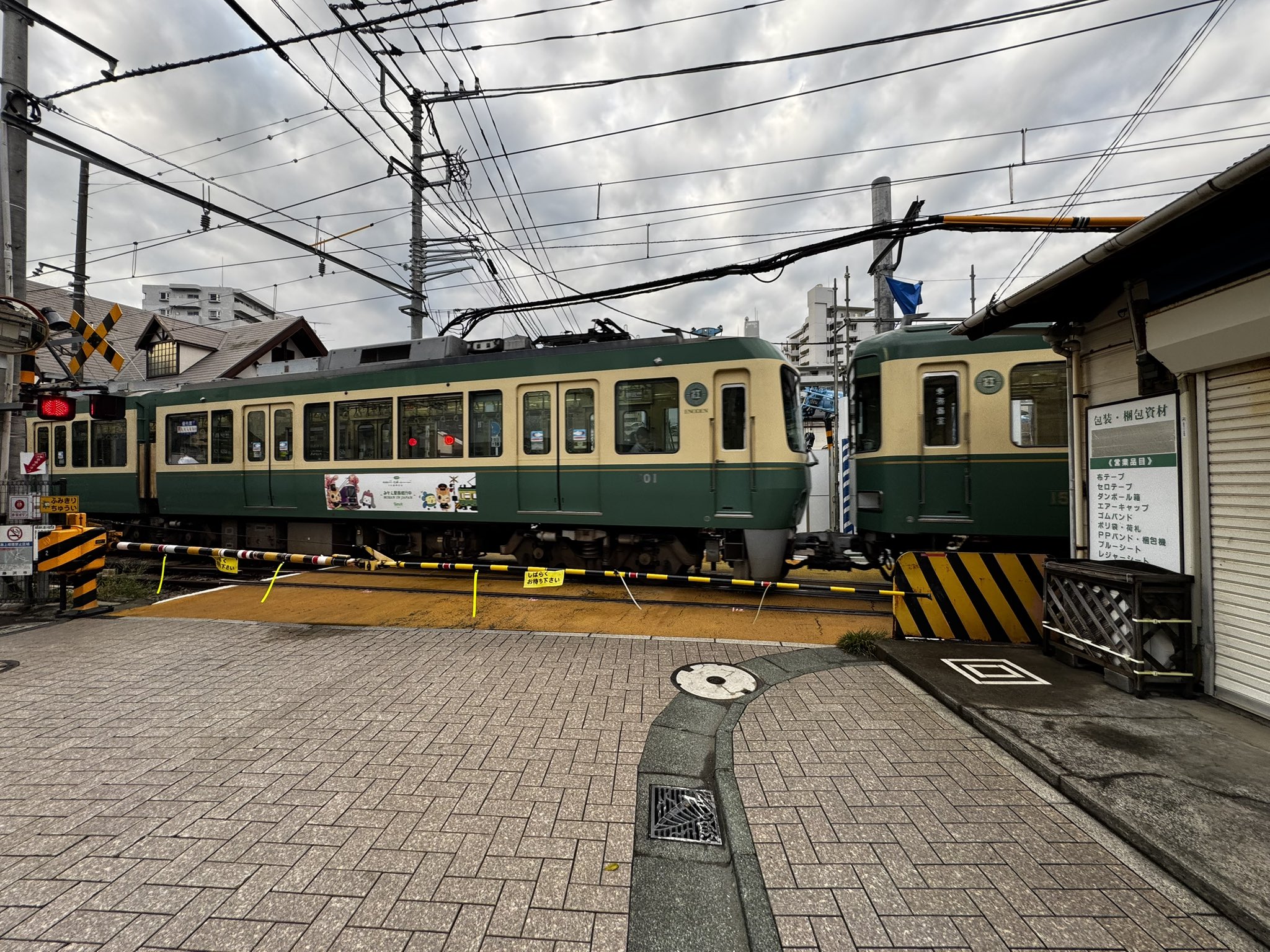 fujisawa_nyani (=^x^=) (@fujisawa_nyani) / X