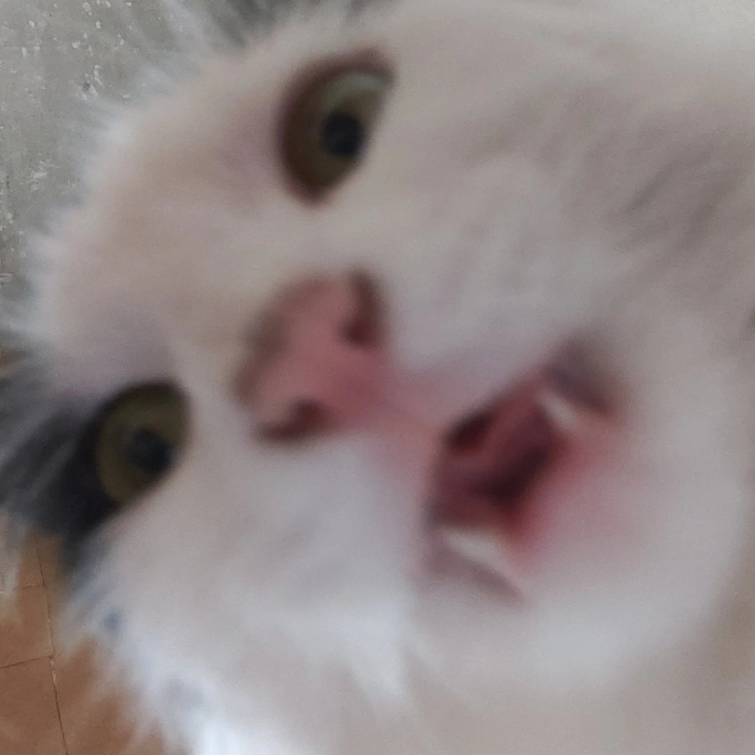 ⋆⁺₊✧ 𝙻𝚒𝚒⭒ tweet media
