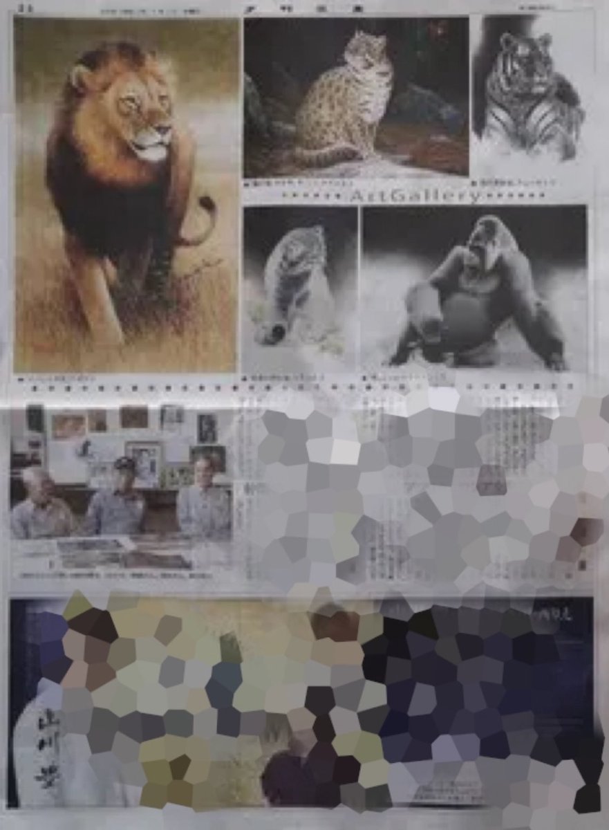 三重県で行われた展示をきっかけに、夕刊三重2025年正月号に大きく取り上げられた田中豊美先生。絵を描き始めた幼少期から動物画第一人者となるまでのインタビュー記事と8作品が贅沢なカラーページ3面にわたり紹介されています。記事は12人展コーナーに掲示予定。