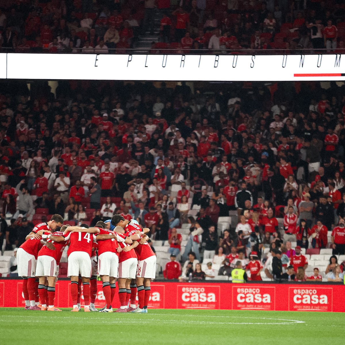 SLBenfica's tweet image. 🦅❤️