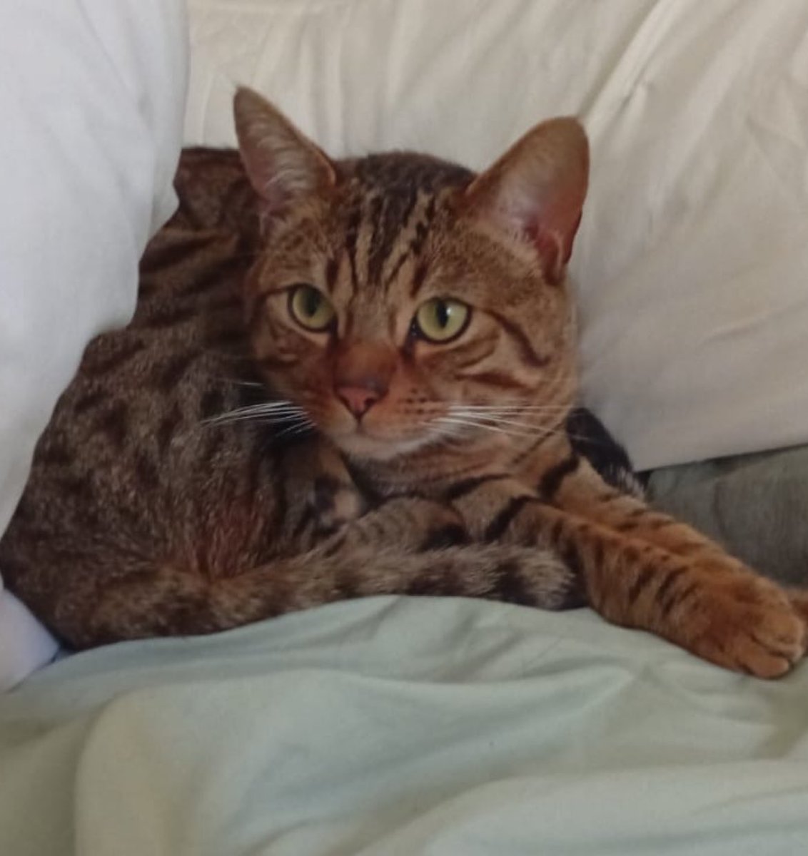 My Prince Charming 🫶🏻😍