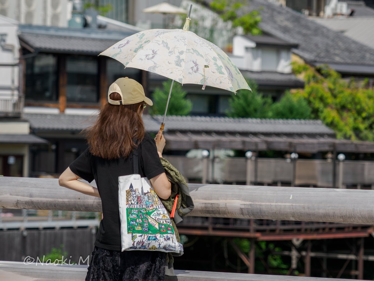 11_cats's tweet image. フルサイズ使ってます（進行形）
MFT使ってました（過去形）
そしてMFTをまた使いだした（進行形）

そりゃ、いろいろフルサイズが有利な点は多いが
MFTも捨てがたいぞ…と再認識

特にスナップ
特にマクロ含む近接撮影

要するに自分での使い分け

次期総裁にはMFTを
推そうかと思い始めている

#MFT