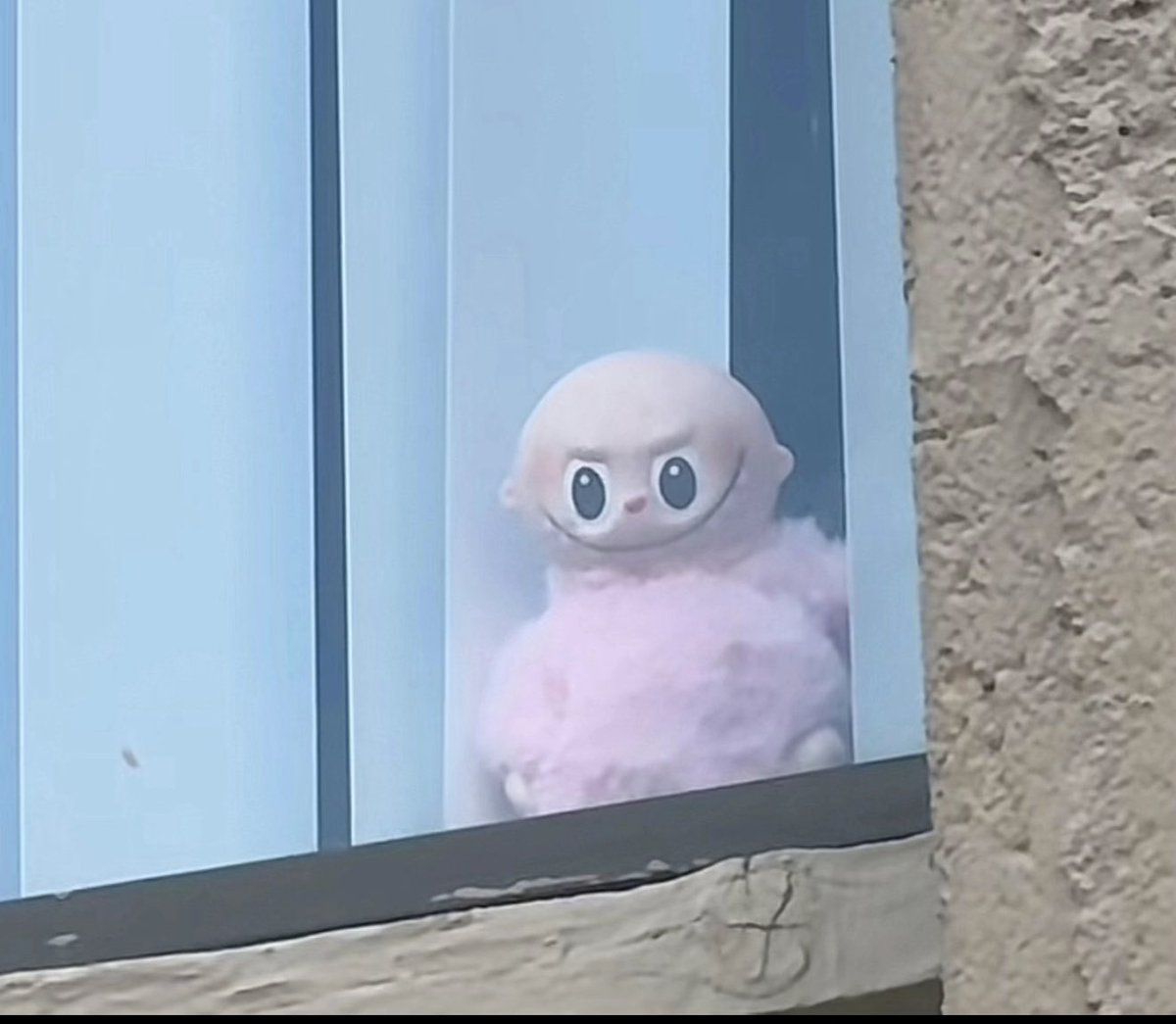 A Pimp Named Thickback 🍑 (@taurus_groove) on Twitter photo 