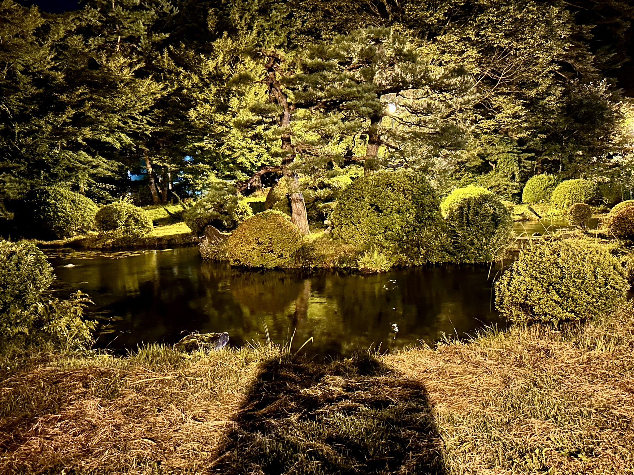 YUI OKUDA 奥田 結衣 on X: 