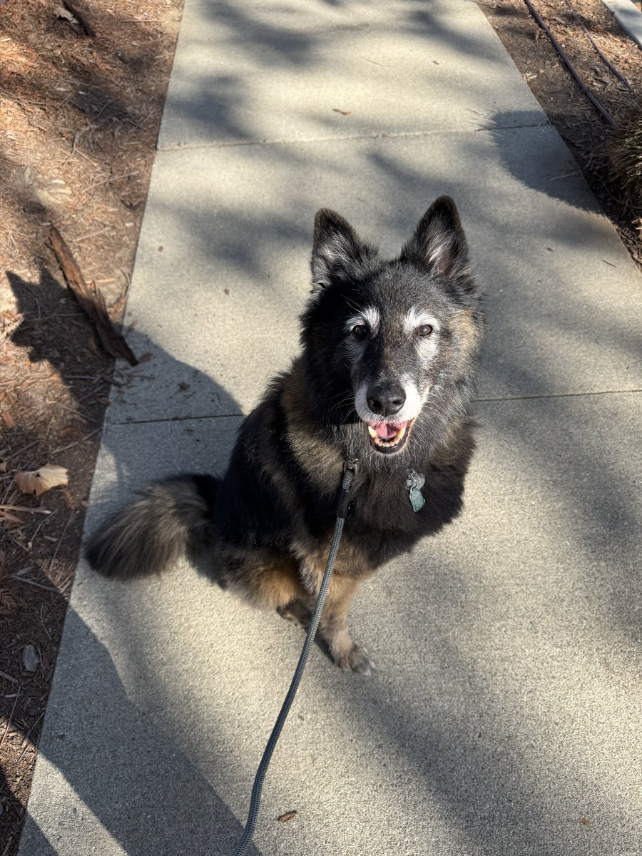 간식 냄새는 귀신같이 맡아서