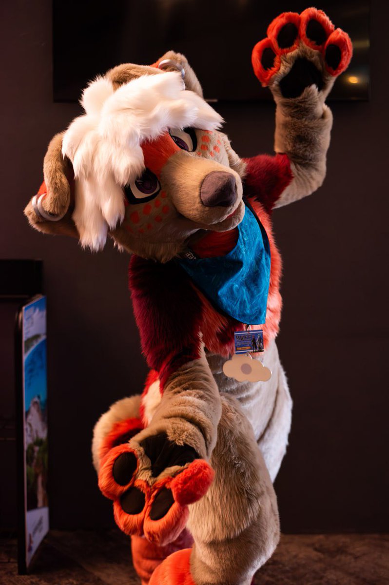 Absolutely gorgeous shot of Brooklyn taken at WAFF this year!! 

Brooklyn: <a href="/BrooklynCollie/">🪴🍄Brooklyn🍄🪴</a> 
📸: <a href="/WinderBeasts/">Winderbeast</a>