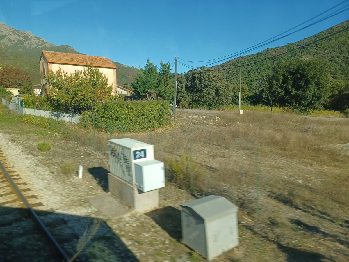 Pas facile depuis le car #Corsica #Train