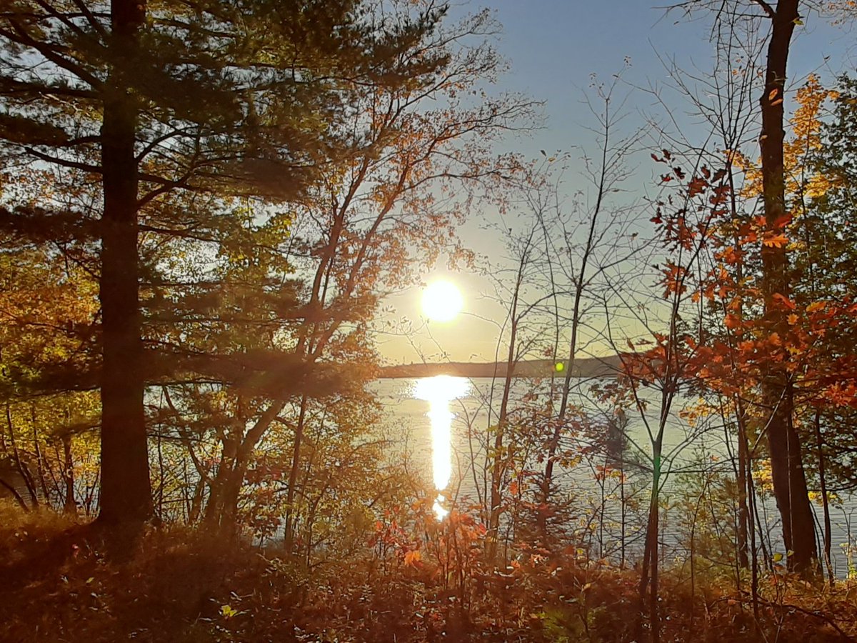 Bonne Action de Grâce 🍂🍁
Happy Thanksgiving 🍁🍂
Happy Columbus day and First Nations day USA