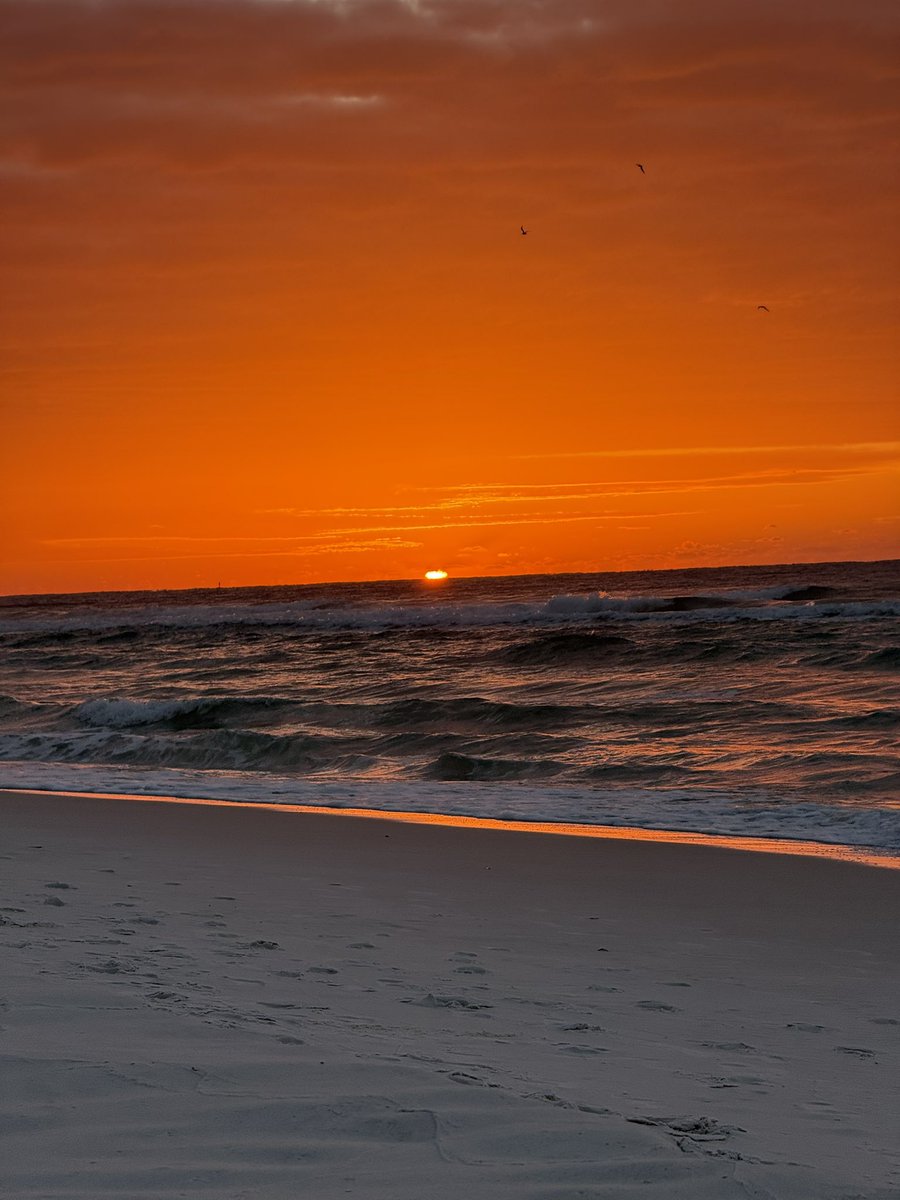 Good morning from the beach☺️