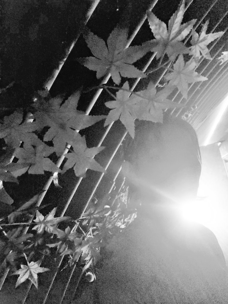 #🚉
「Anemoia Tokyo」@東京
⇒anemoia.tokyo

１周年
おめでとうございます✨

さぁ
明日からも頑張りますっ

仙人です🙏

🎫⇒t.pia.jp/pia/event/even…

#Immersiveexperience 
#イマーシブ
#エクスペリエンス
#AnemoiaTokyo
#DAZZLE

🎦⇒youtu.be/2NGHUjcdoGw?si…