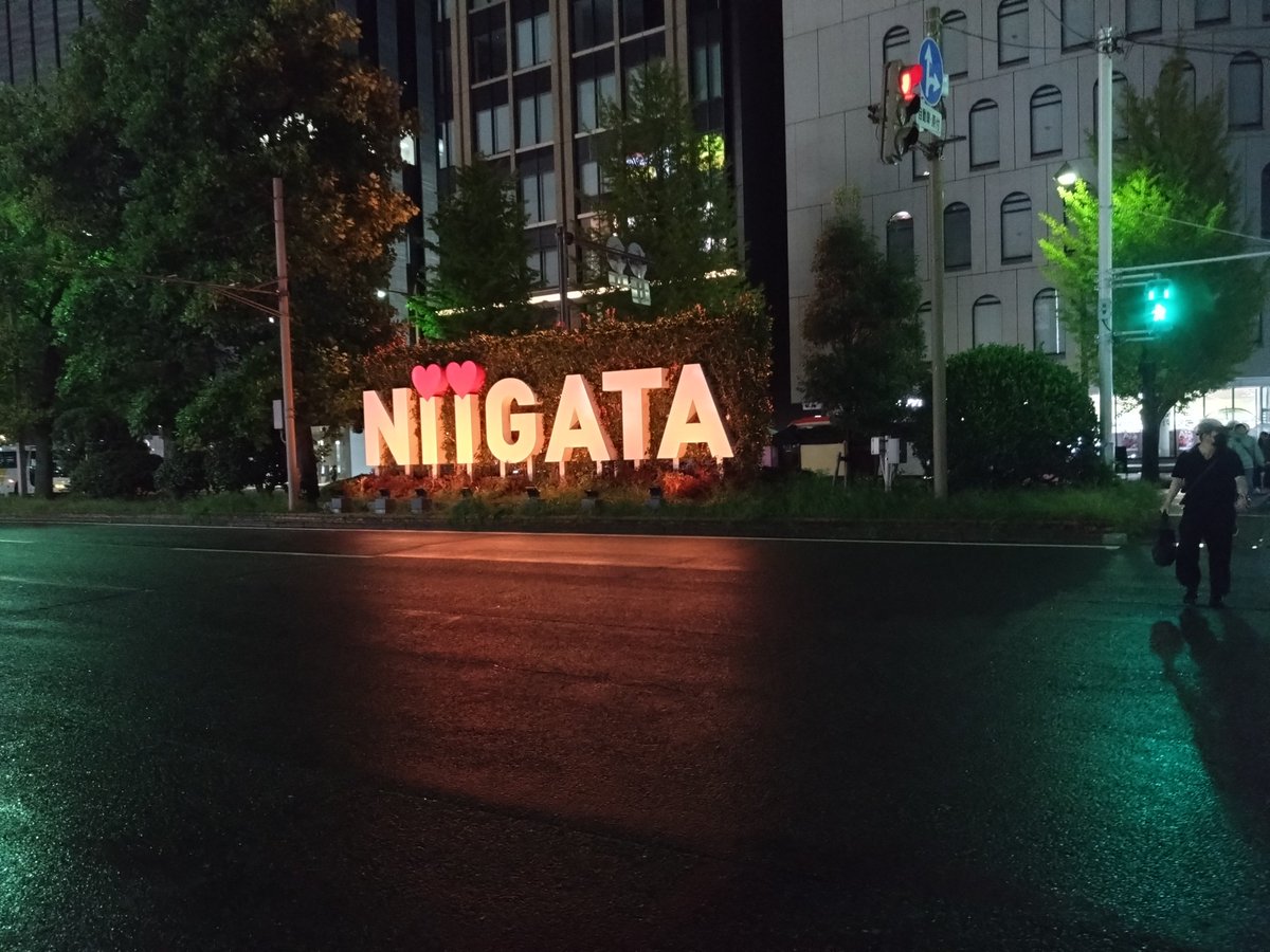 明日は新潟シティマラソン走ってきます🏃
本来は先輩と走る予定が、腸脛靭帯炎になったようでソロ参加になりました🥲