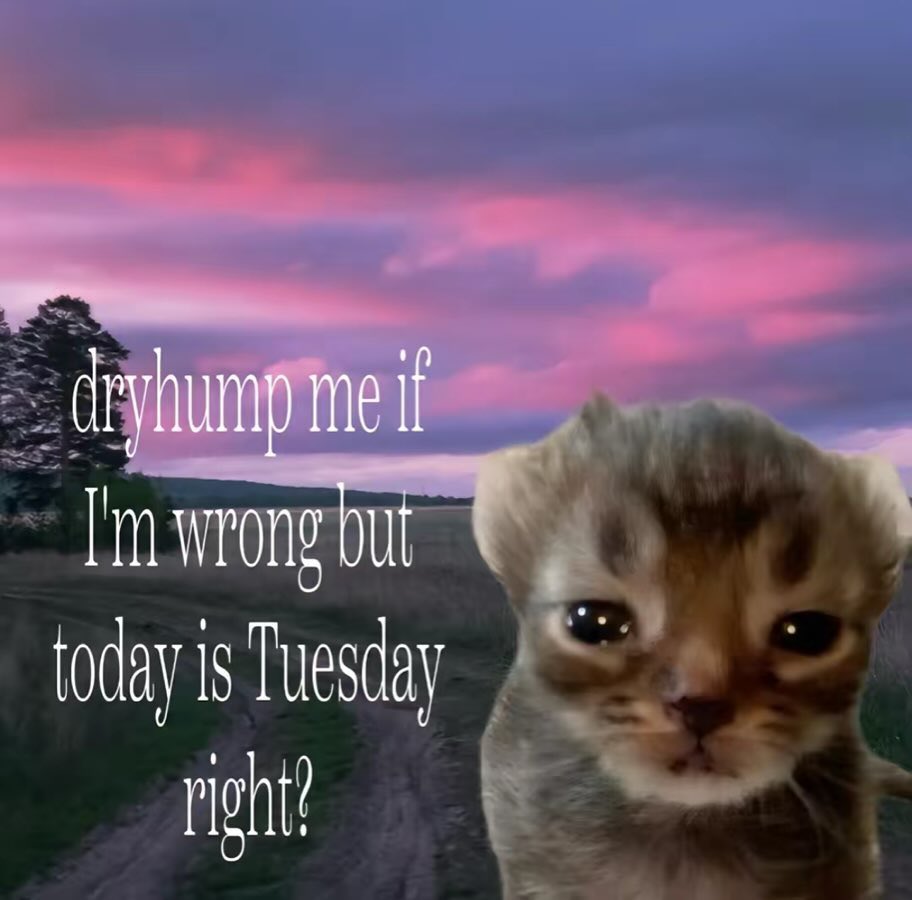 ♡ (@softheavens) on Twitter photo 