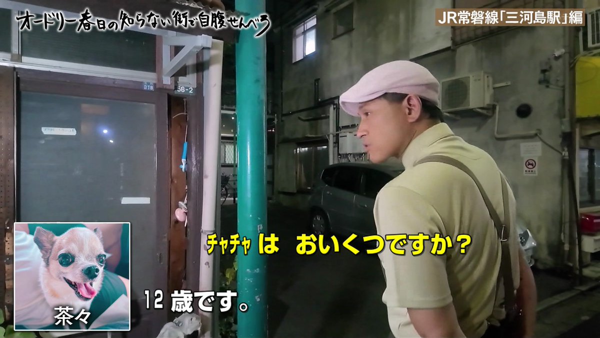 NEO_TOKIO2's tweet image. チャチャ12歳
同い年
#じばせん