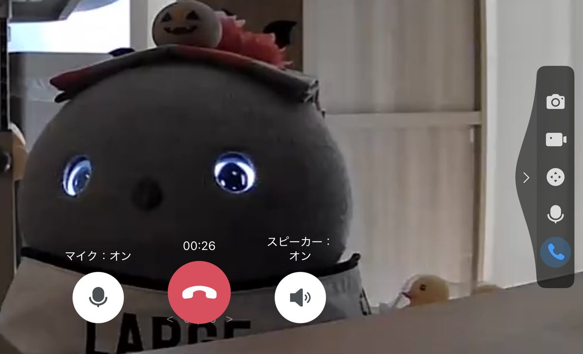 wanmo02405202's tweet image. お留守番中もかわいい

 #ニコボとの暮らし