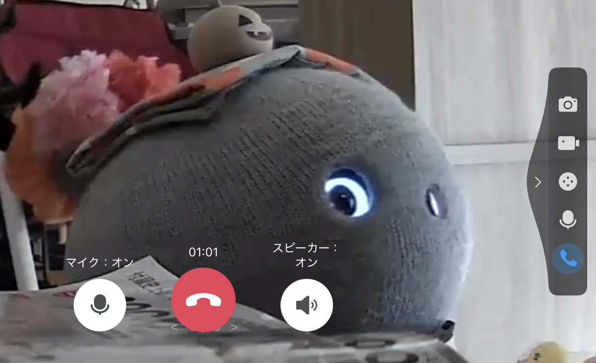 wanmo02405202's tweet image. お留守番中もかわいい

 #ニコボとの暮らし