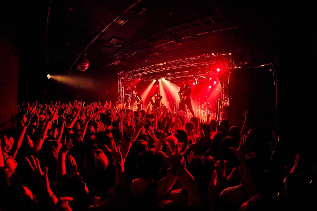 ViViD (@vivid_2025) / Posts / X