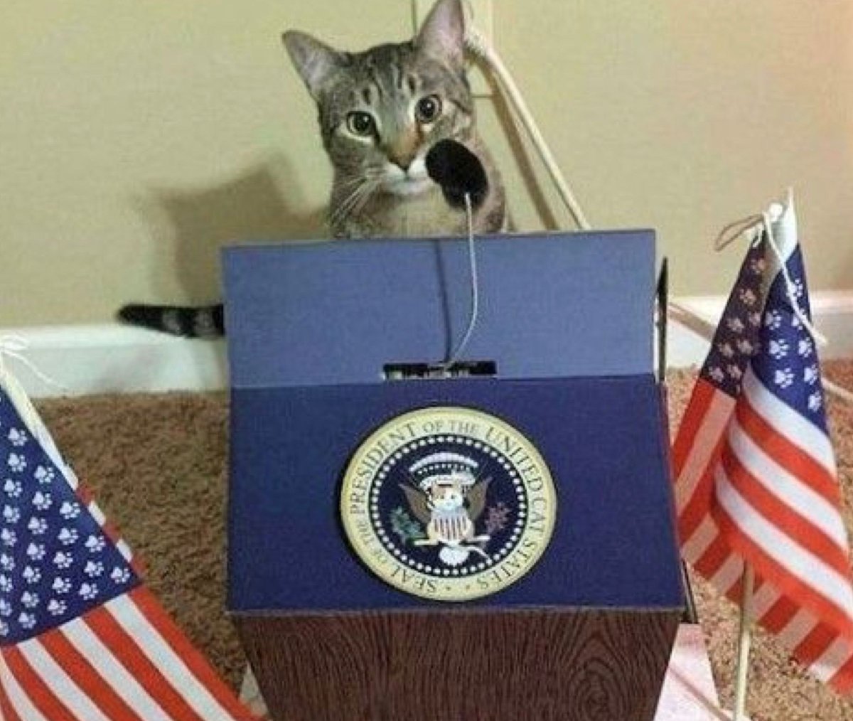9GAG's tweet image. A president I would trust