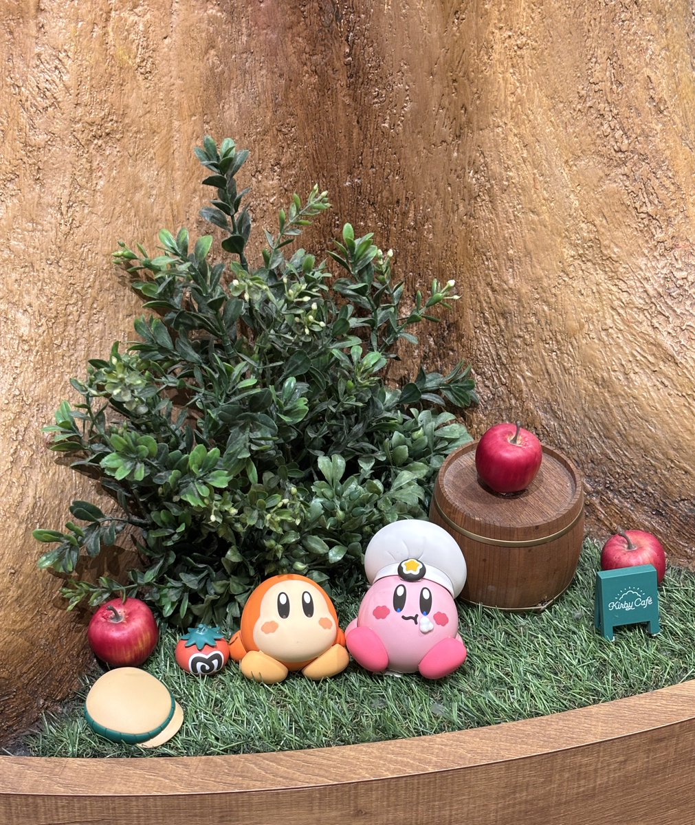 taguti_rkrn_c's tweet image. 充実した1日だった☀️