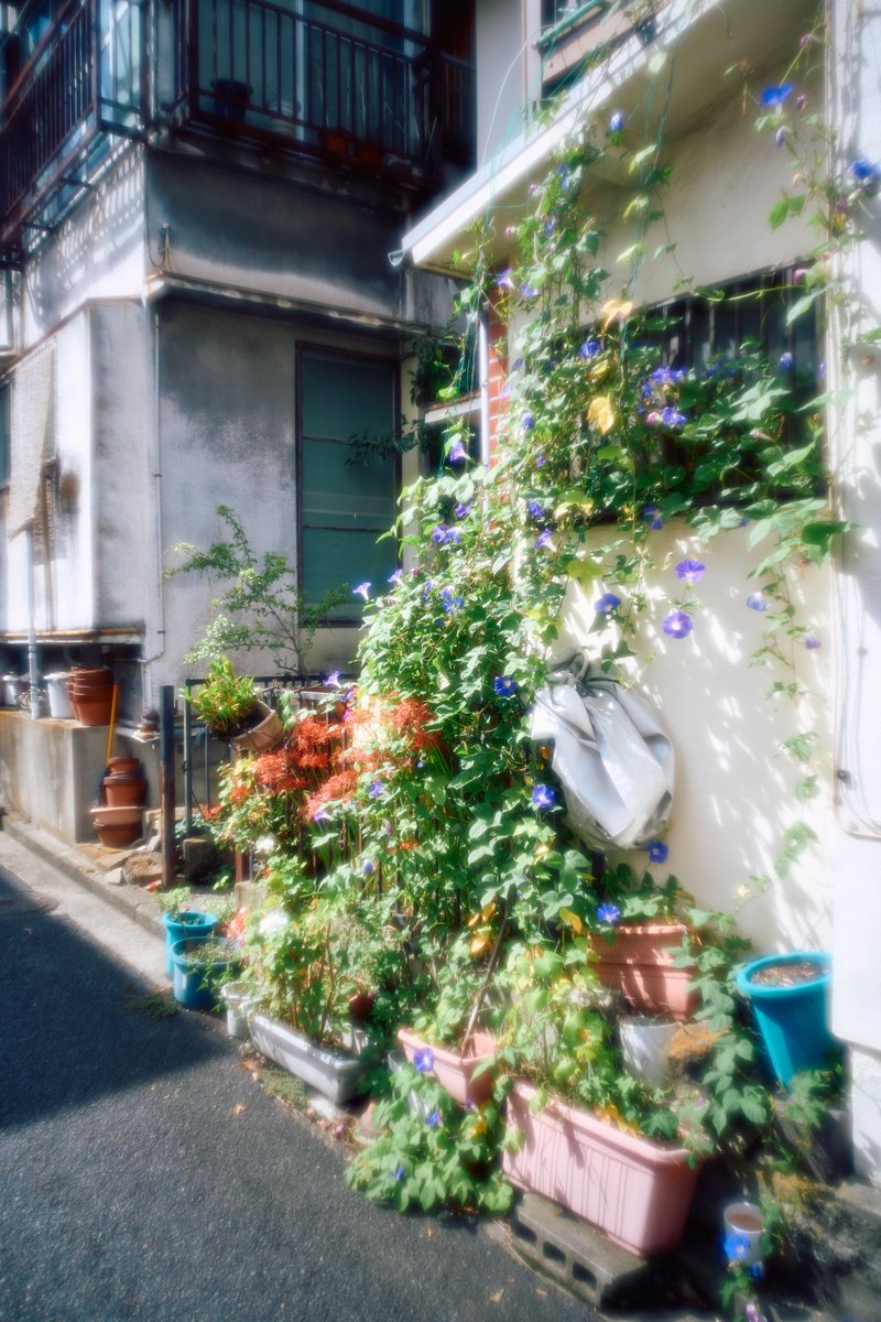 KannistoJuha's tweet photo. Some lunch break shooting at Yokohama on 2nd of October with my Sony #A7CII & #Kistar 28/3.2 M on a semi-sunny day. Weather is getting more autumn-like now but it's still relatively warm. More: https://t.co/UCAX9bfGtI https://t.co/RdKxe7zYyz