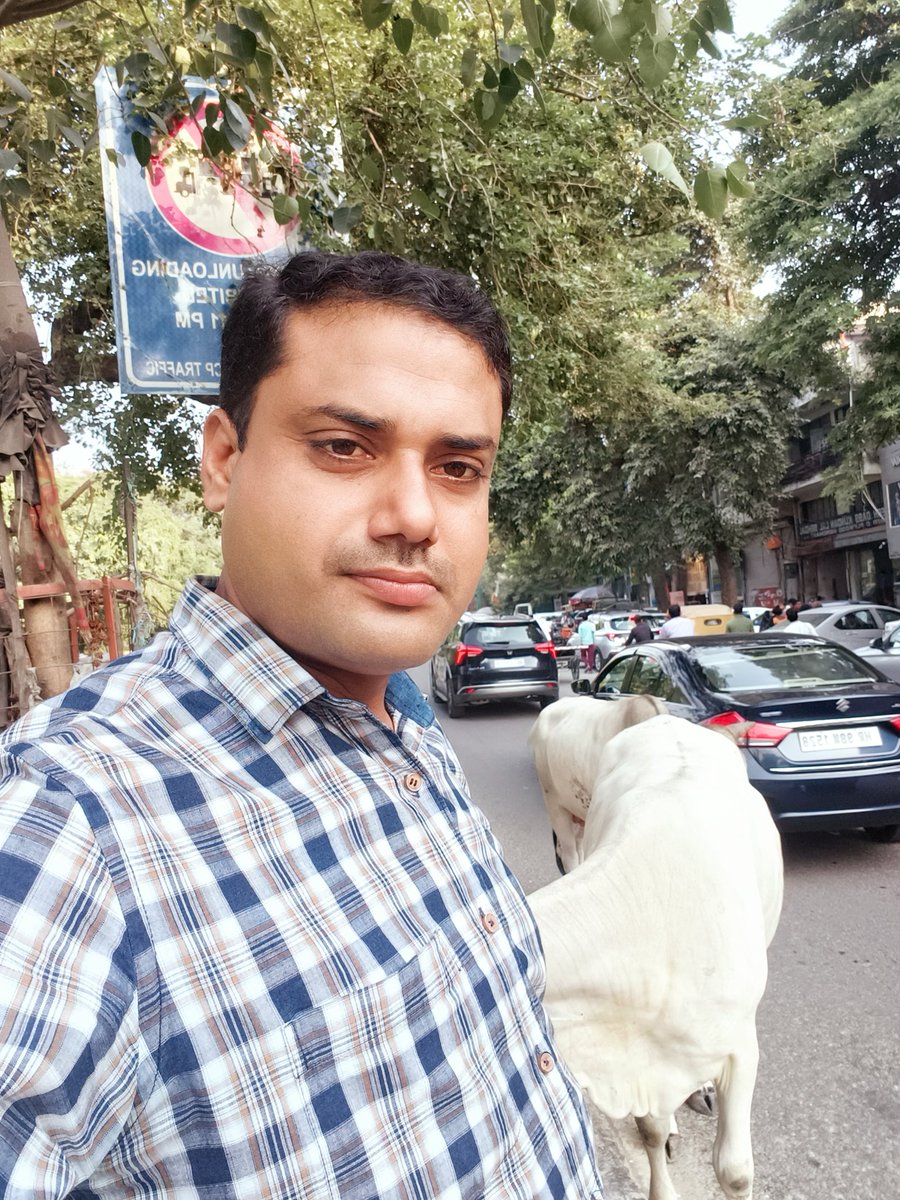 भीड़ में गाय 🐄

भीड़ भाग रही मोबाइल मोटर शोर के संग 
अचानक बीच सड़क एक गाय ठहर गई चुप चाप 

किसी ने हॉर्न मारा किसी ने कहा हटाओ इसे 
पर वह देखती रही जैसे सबकी आत्म पहचानती हो 

कभी जो पूजी जाती थी अभी रुकावट कहलाती है
वो गाय नहीं हमारी संवेदना है जो महानगरों की भीड़ में धीरे