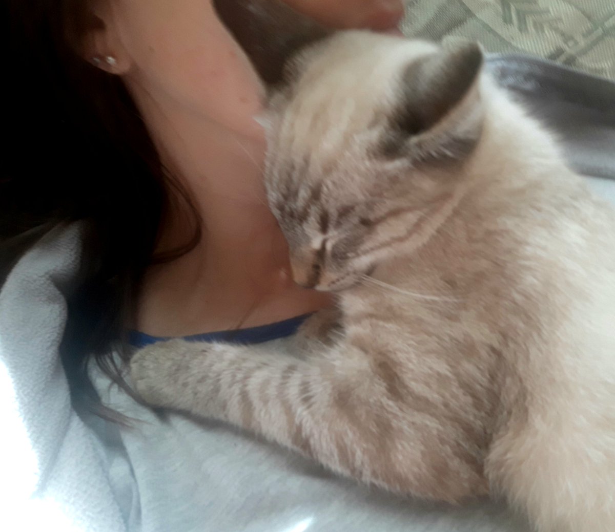 alena12gi's tweet image. 🐾😻 Happy Caturday! 😼
#Caturday #SaturdayVibes #CatsofTwitter