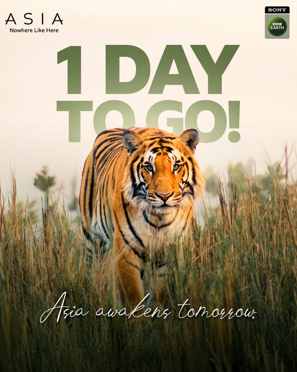 SonyBBCEarth's tweet photo. Asia comes alive tomorrow!
Mon- Fri | 12 PM & 9 PM on Sony BBC Earth
#NowhereLikeHere #Asia #SonyBBCEarth #SBBCE #FeelAlive https://t.co/F5CqPJvEVq