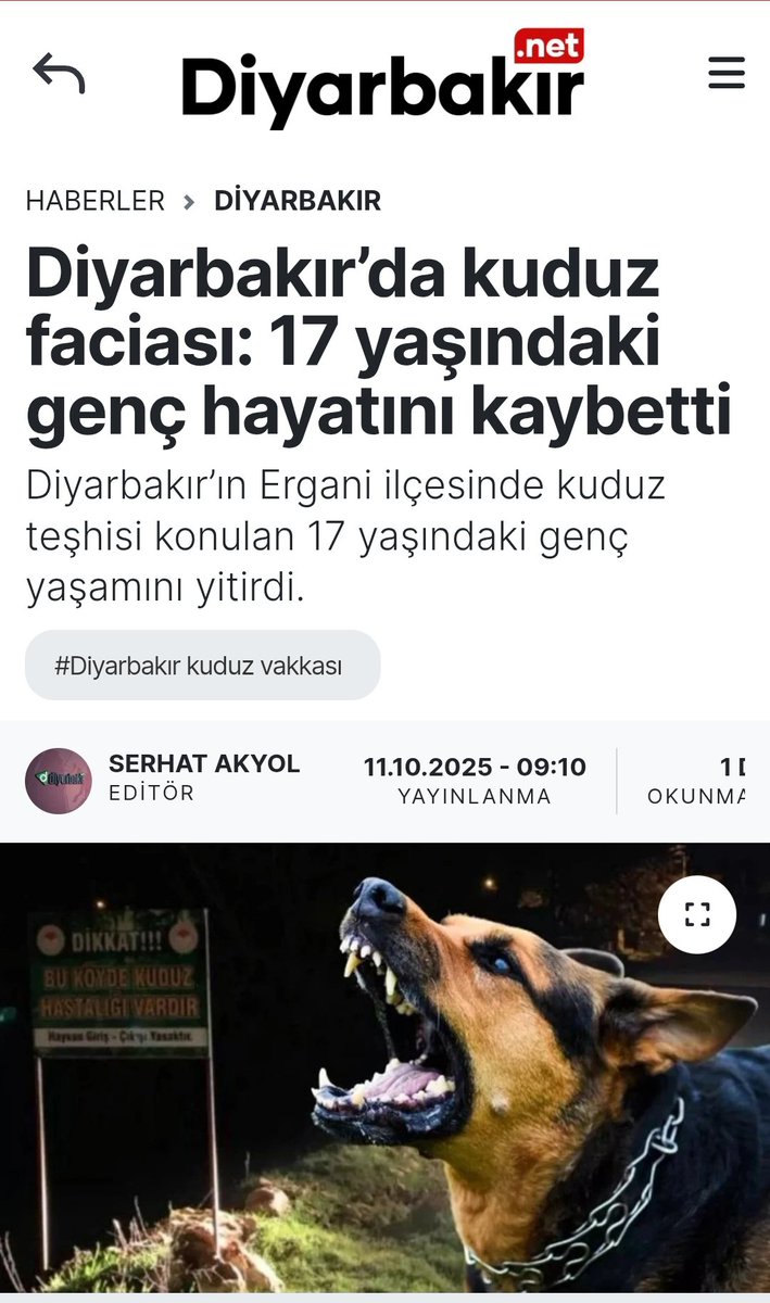 FethiAslanX's tweet image. Türkiye &apos;de başıboş köpek kaynaklı #kuduz ölümleri devam ediyor  ! 

% 99 insana kuduz &apos;u bulaştıran başıboş köpeklere kıyamadıkları için insanların çıldırarak ölümünü izliyorlar. 

@ibrahimyumakli @drmemisoglu @avabdullahguler @oktay_saral @icesur