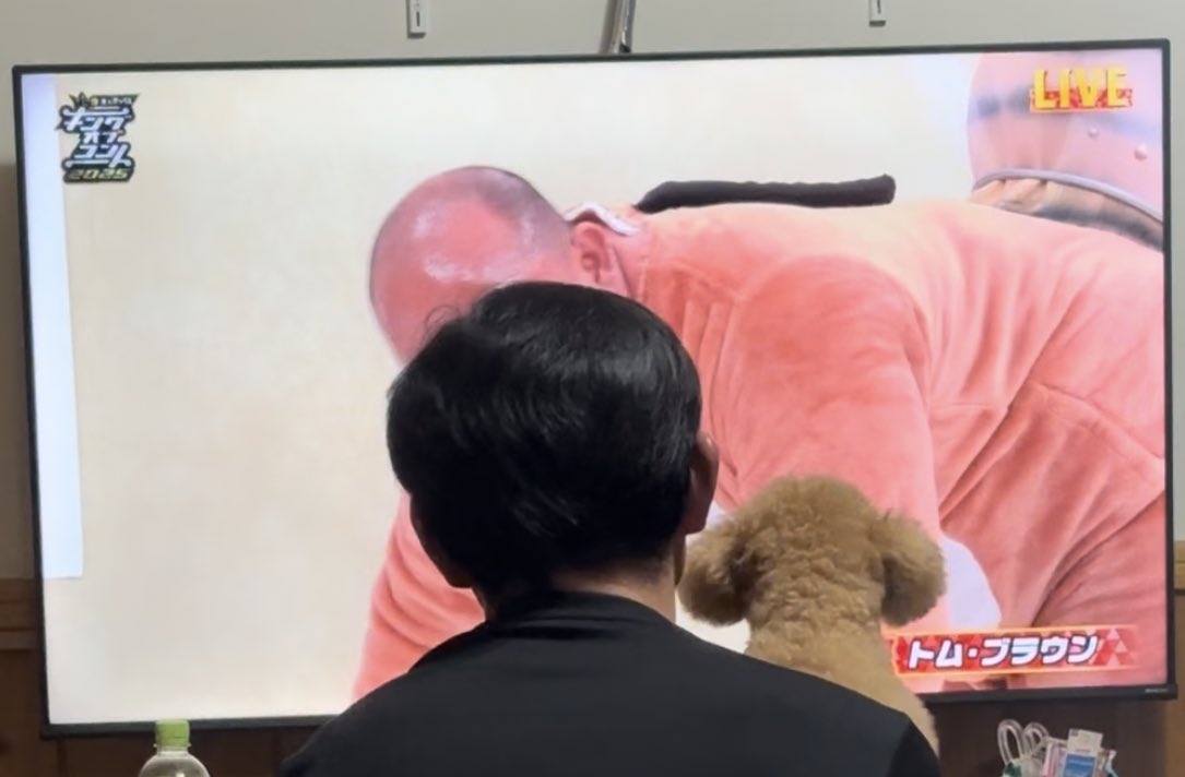 inu_love_suki's tweet image. トム・ブラウンにブチ切れてる犬