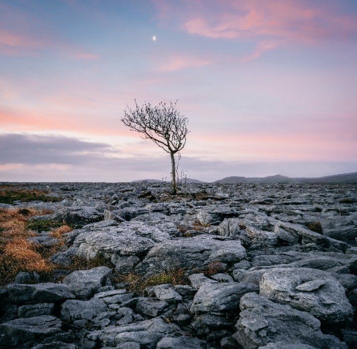 "Aunque el miedo tenga más argumentos, elige siempre la esperanza."

🚦Séneca