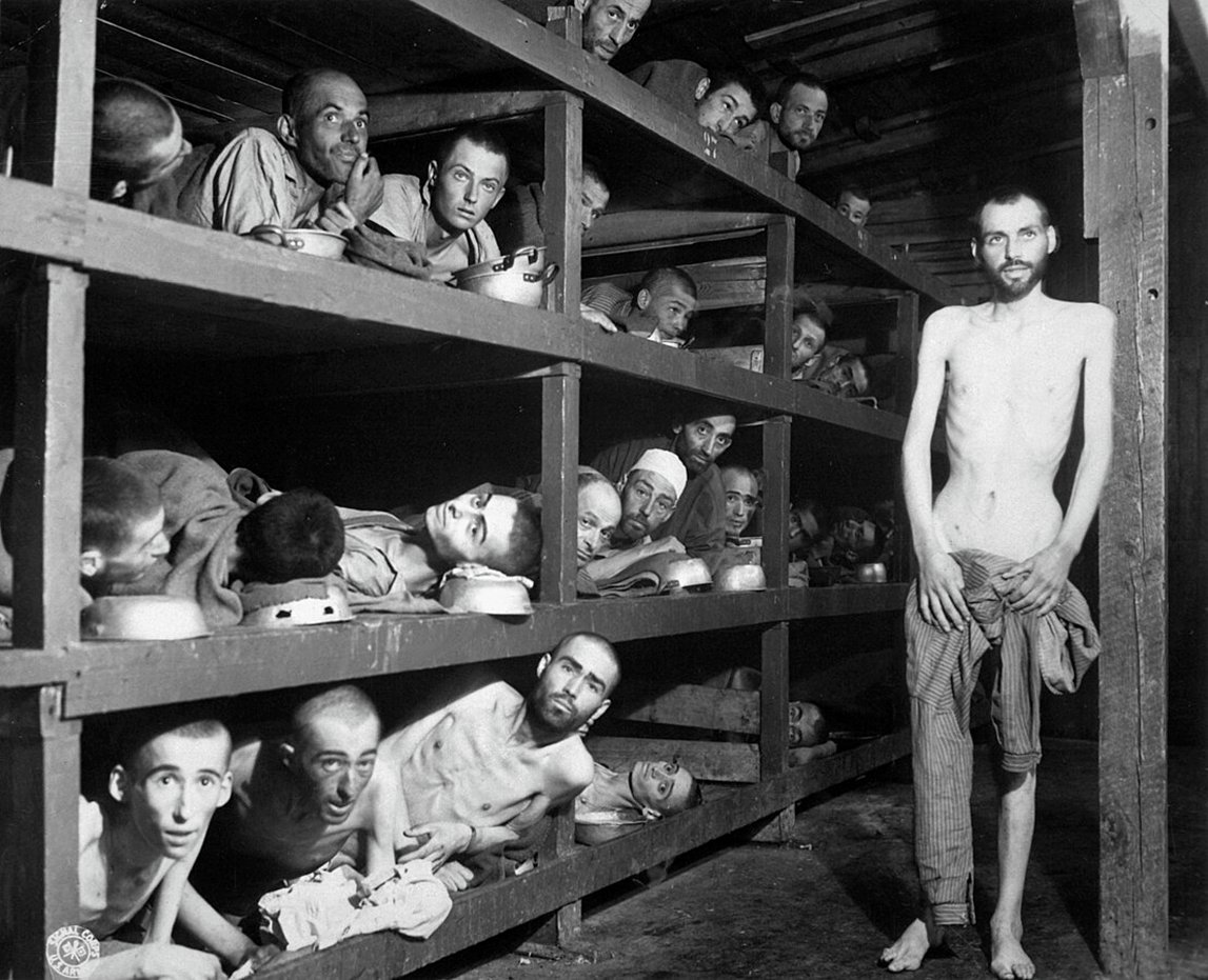 prof_preobr's tweet image. These are real Holocaust survivors.
This photo was taken in the Buchenwald concentration camp right after its liberation in 1945.

And you&apos;re just a pathetic idiot.