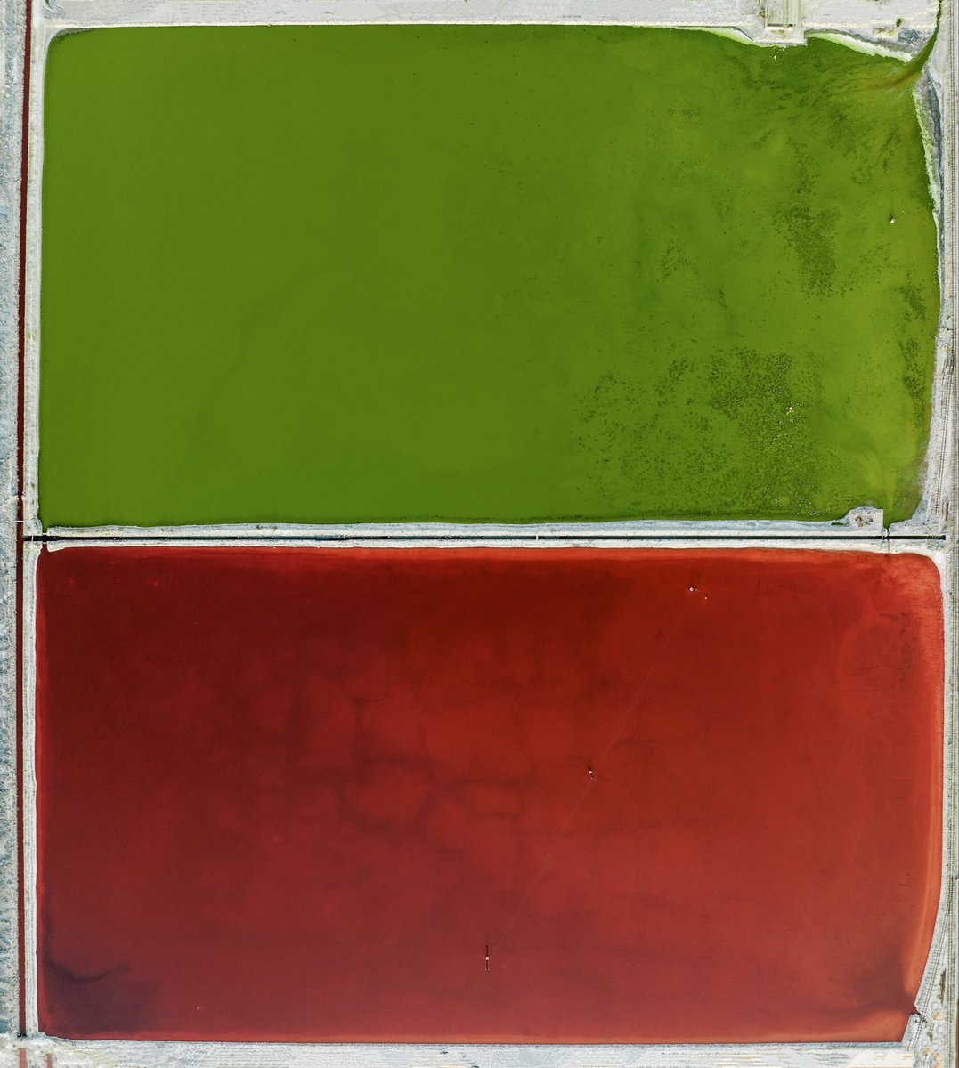 rakesh_pulapa's tweet image. Green or red candles, we still say GM.

No. 2 (Green and Red) from 
Rothko Reimagined