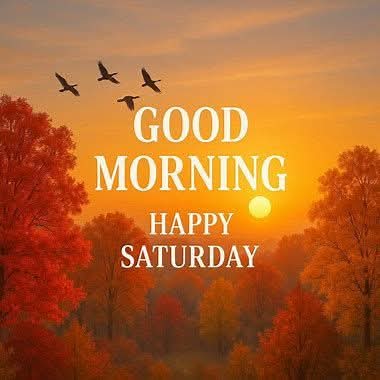 SlivkaTerri2's tweet image. Hope everyone has a Blessed day! 🙏☕️🧡 It&apos;s a beautiful Fall day here on the Farm. We have big Black Walnut trees. Going to be gathering up lots of nuts today. I haven&apos;t had one drop on my head so far. Lol 🤞
Love y&apos;all. 🥰🇺🇲