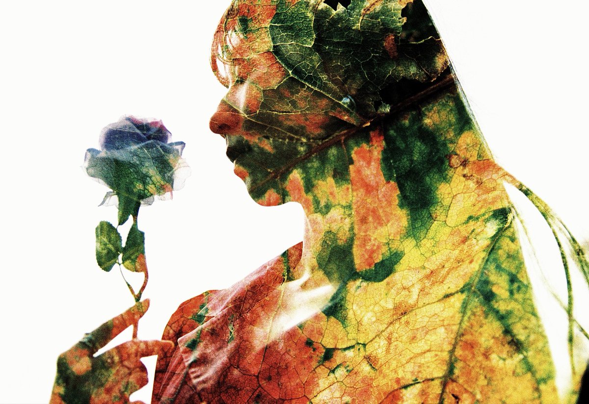 hodachrome2's tweet image. 多重露光フォトウォークの講師作例②
シルエットで撮った南条葉月さんと山下公園の落ち葉をマクロで重ねた。リバーサルフィルムのクロス現像のため色彩が見た目以上にビビッドに。
Canon EOS7s/Kodak E100VS
#秋のフィルム多重露光フォトウォーク