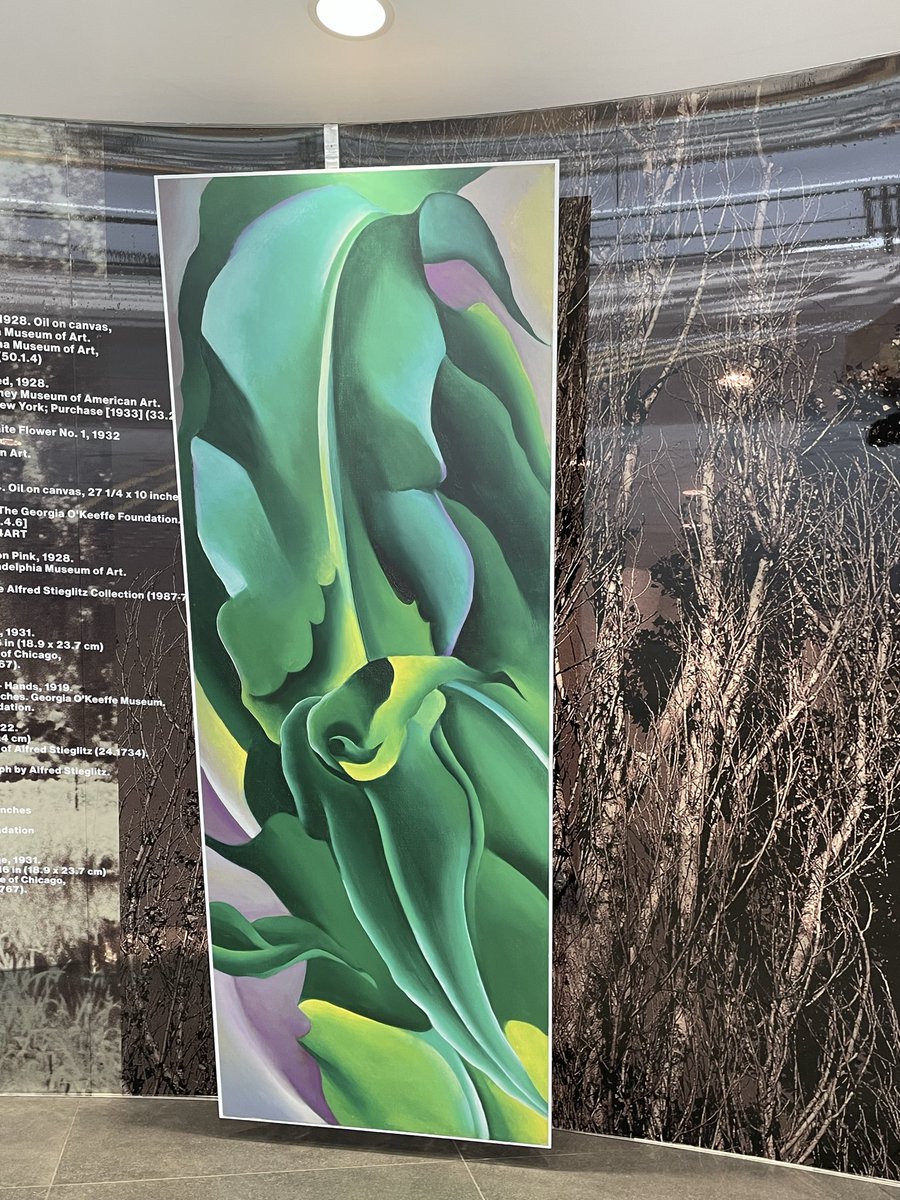 Yukiki (@cottonsnow151) / Posts / X