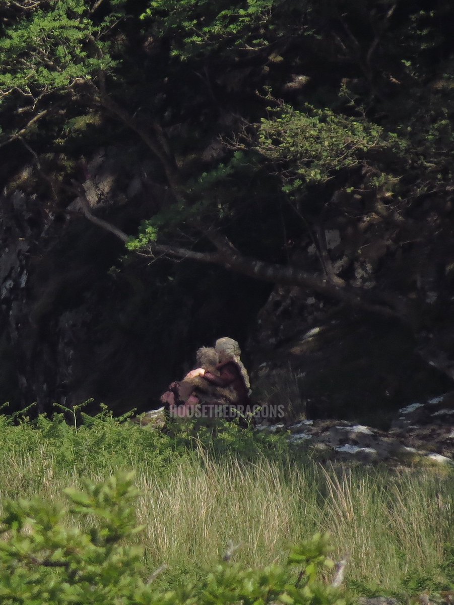 housethedragons's tweet image. 🚨 EXCLUSIVO! Emma D’Arcy (Rhaenyra Targaryen) e Phoebe Campbell (Rhaena Targaryen) nos bastidores de uma cena da 3ª temporada de House of the Dragon, filmada no País de Gales! 🐉🔥