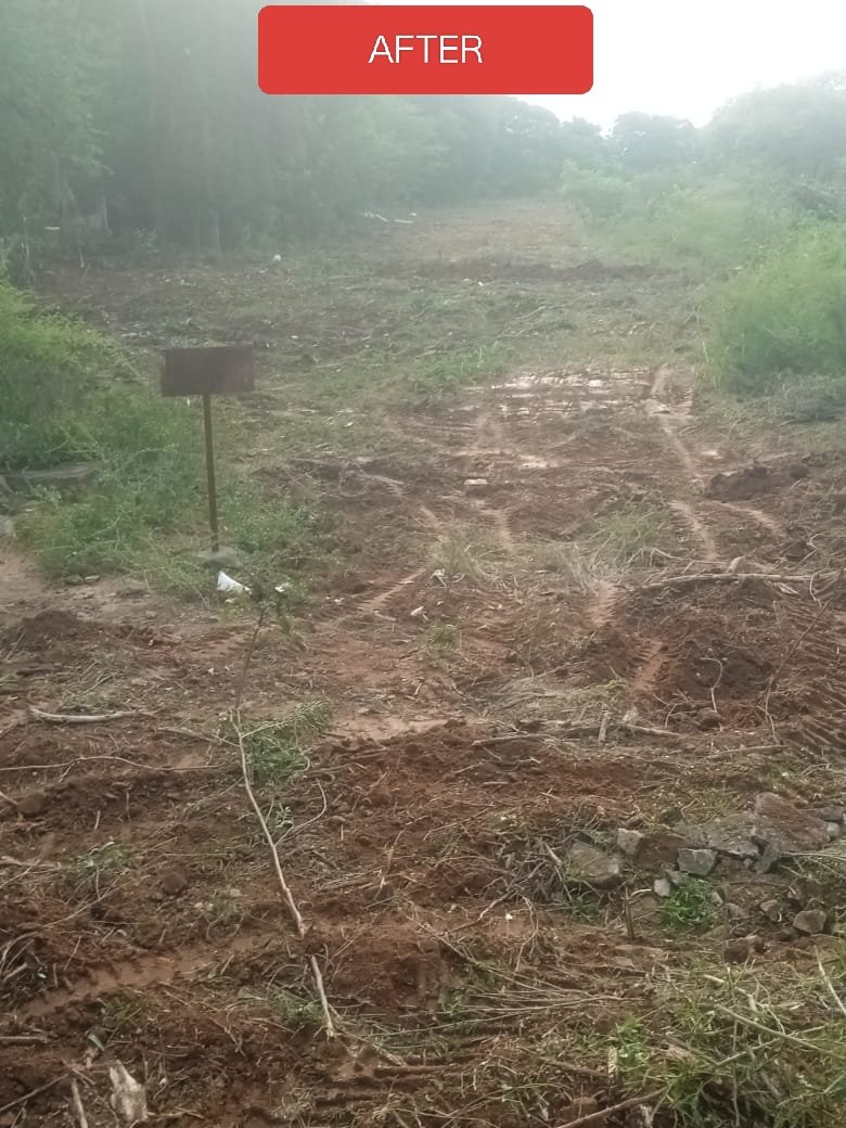 #SpecialCampaign5 Wild grasses around Estate and Factory were cleared on 11.10.2025