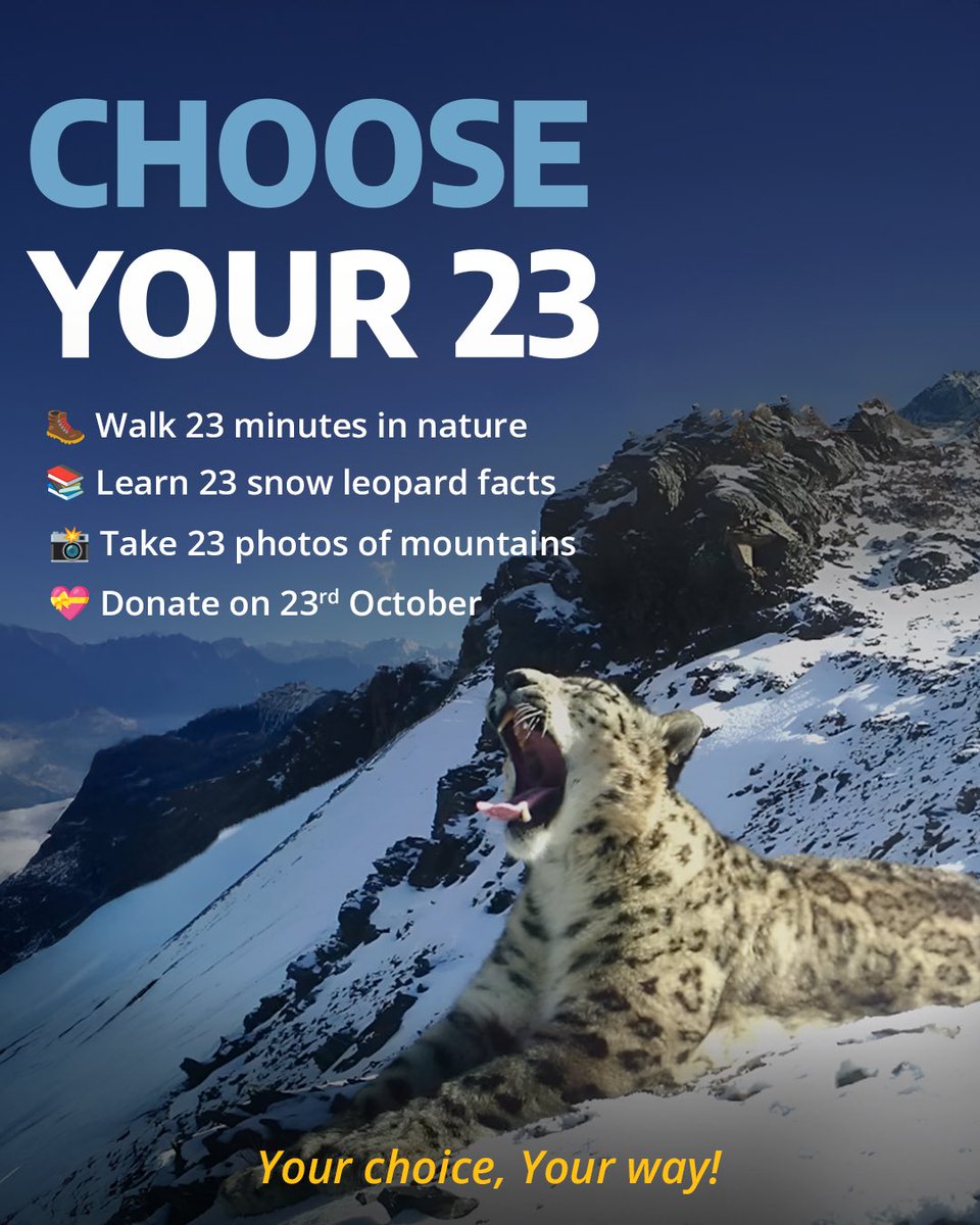 gslep_program's tweet image. THE #23for23 SECRET IS OUT
Swipe to see what #23for23 really means and how YOU can help save 4,000 snow leopards with just one simple choice.
Plot twist: It&apos;s way easier than you think
#SnowLeopardMovement
#SnowLeopardDay