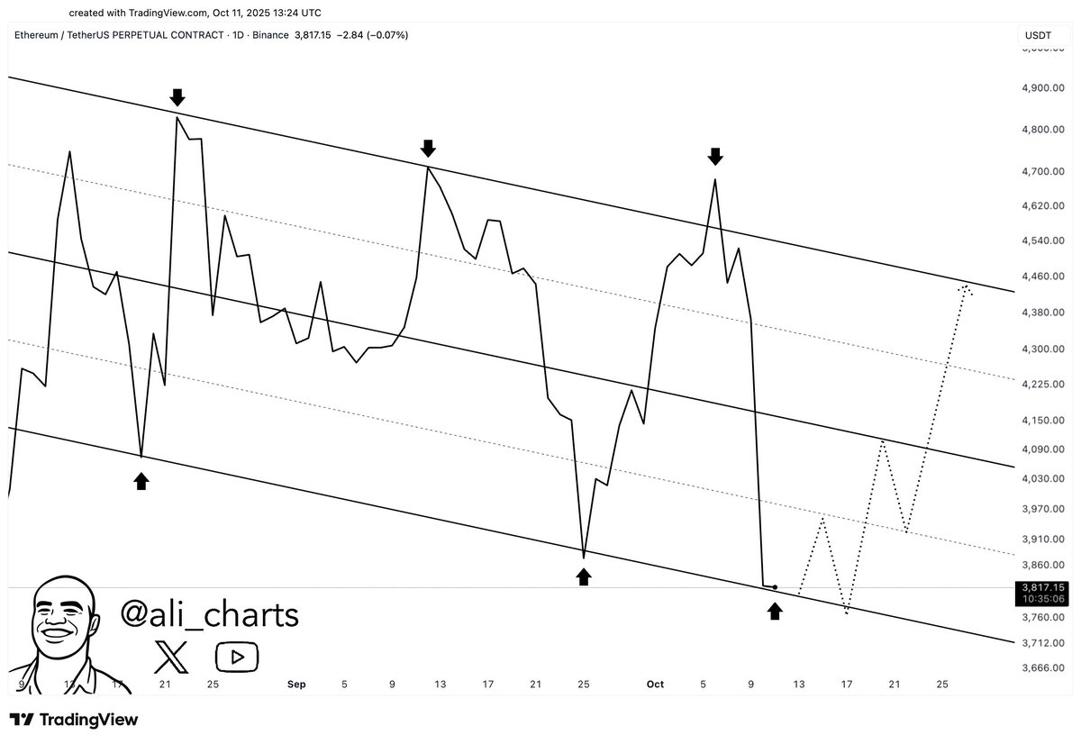 ali_charts's tweet image. BULL-ive! $ETH