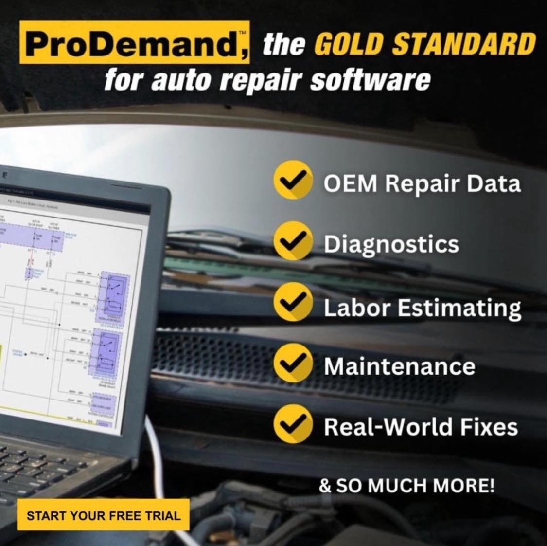 Mitchell 1 tweet media