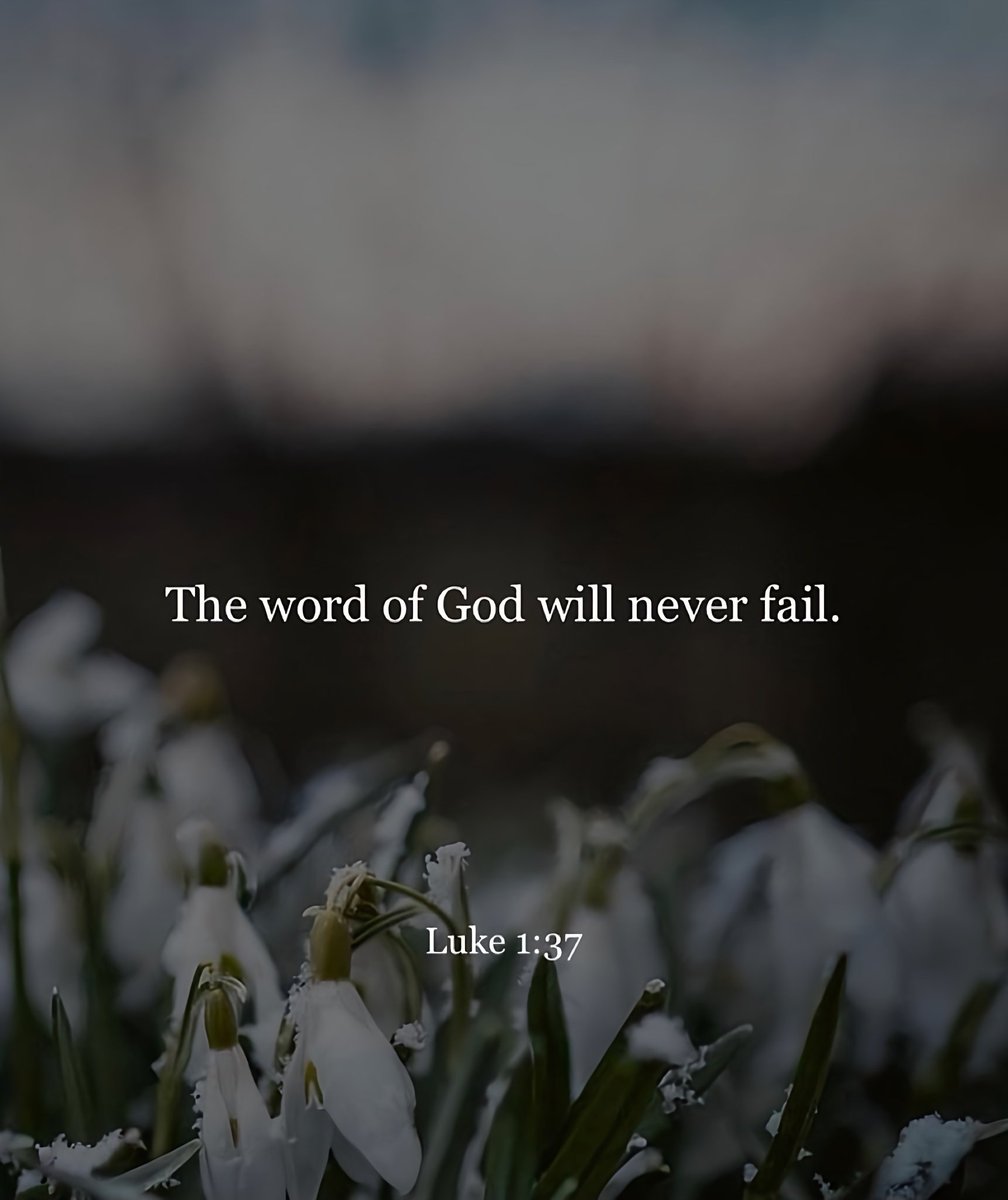 Pastor_Bob_Joyc's tweet image. The word of God will not fail.