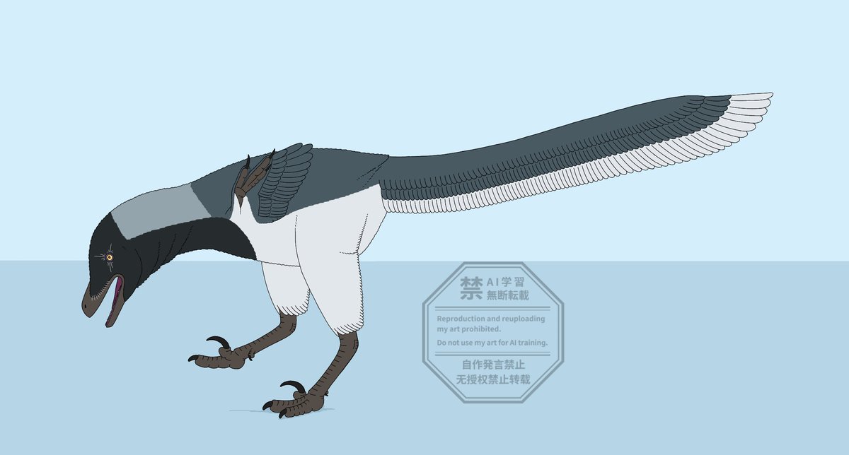 sinequalis's tweet image. #paleoart #sciart

Linhevenator tani