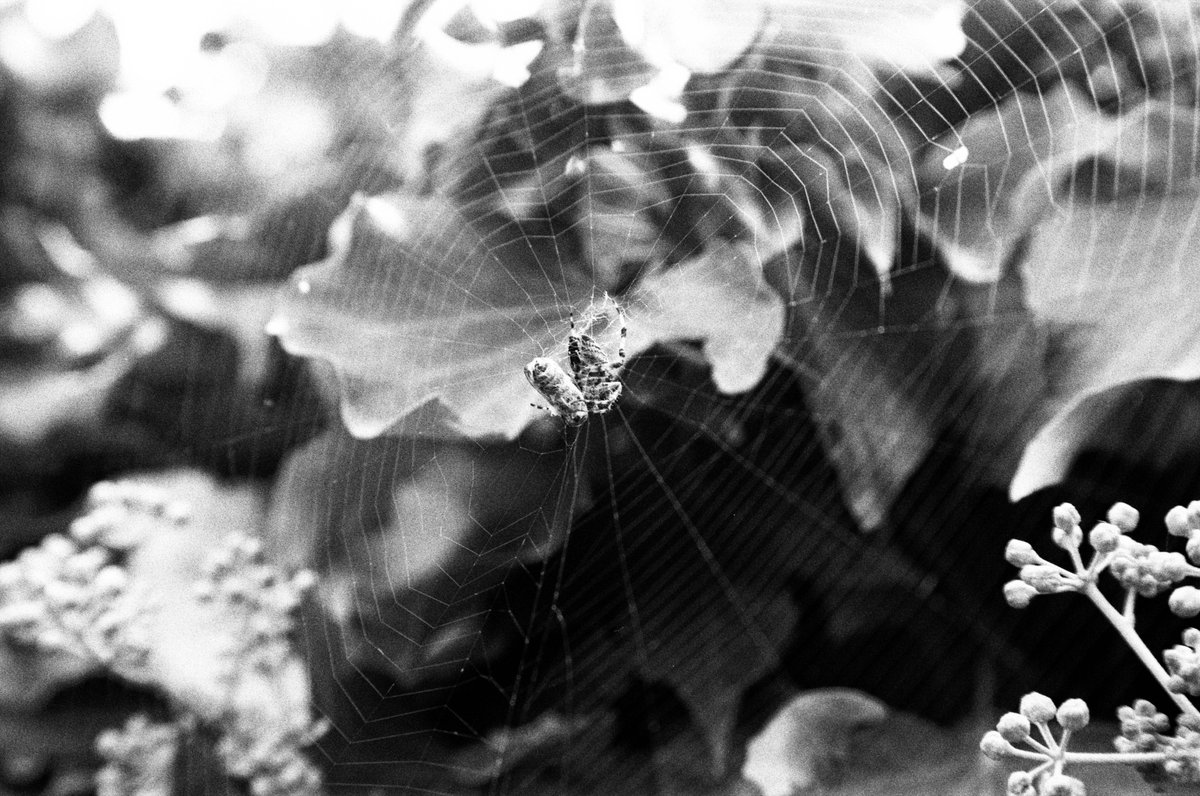 Jon Marshall tweet media