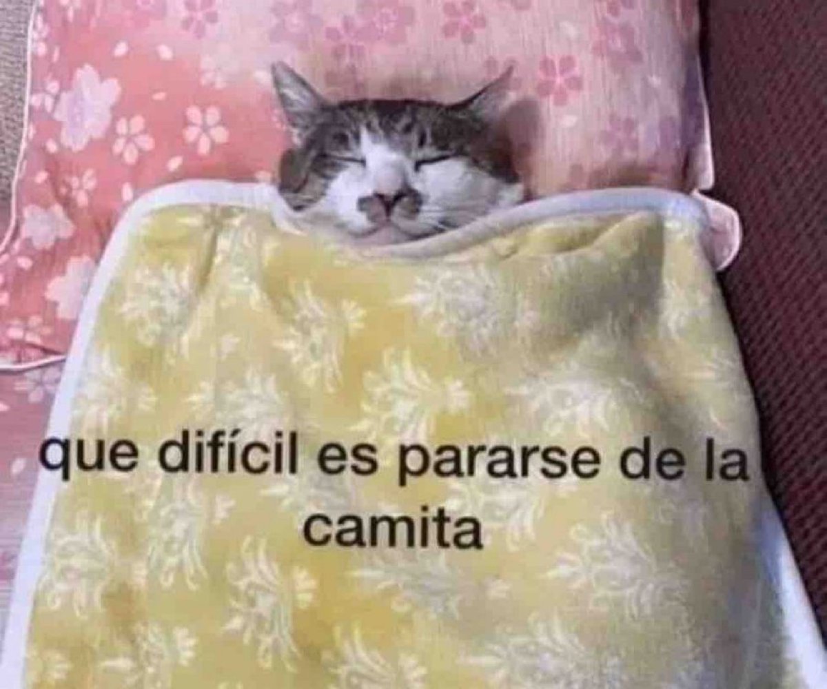 Guarromantico_'s tweet image. Yo ahorita: